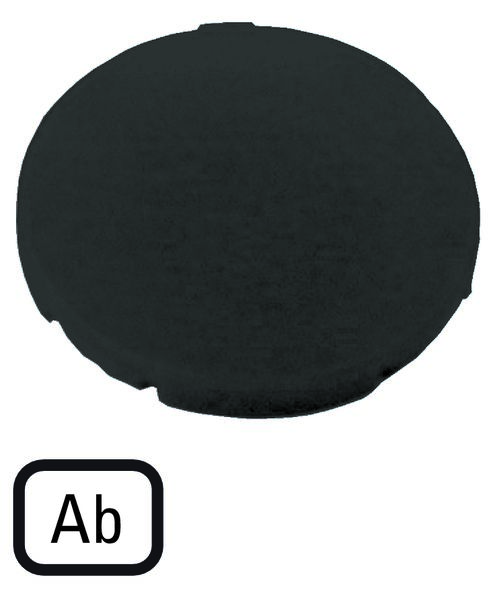 Eaton Button Plate for Use with M22 (S) -DR-X, M22-DG-X, M22 (S) -D-X, M30C-FDR-X, M30C-FD-X