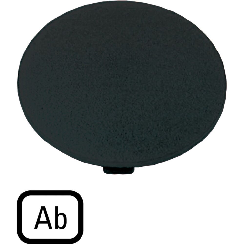 EatonButton Plate for Use with Push Button, Pre-printed "Individual inscription possible: 5 characters: letter height 5