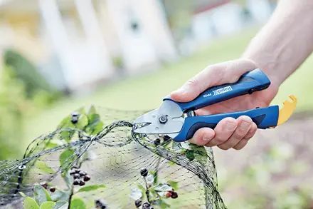 23468000 Rapid Agrafage 10-Piece Plier, 60 mm Overall Straight