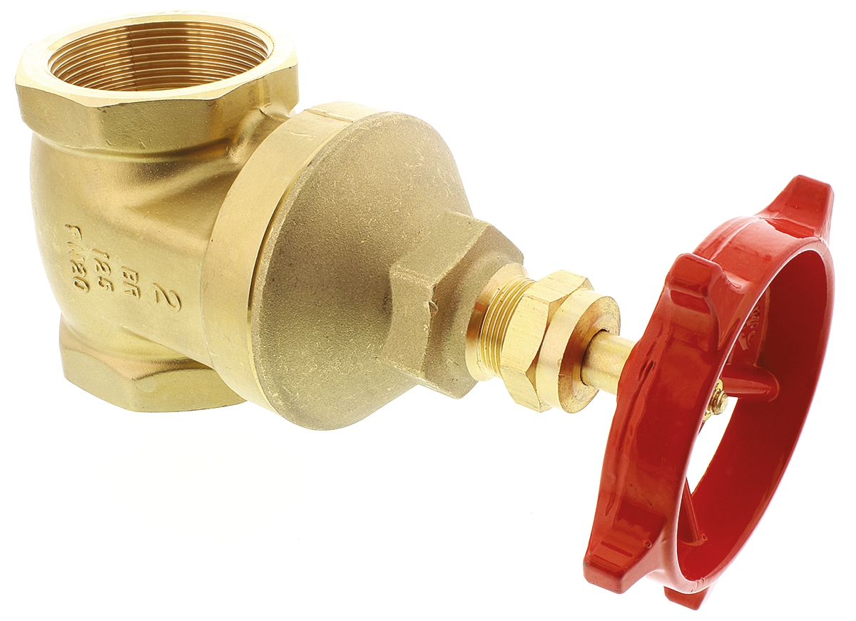 RS PRO Gate Valve 2 in, 2 in