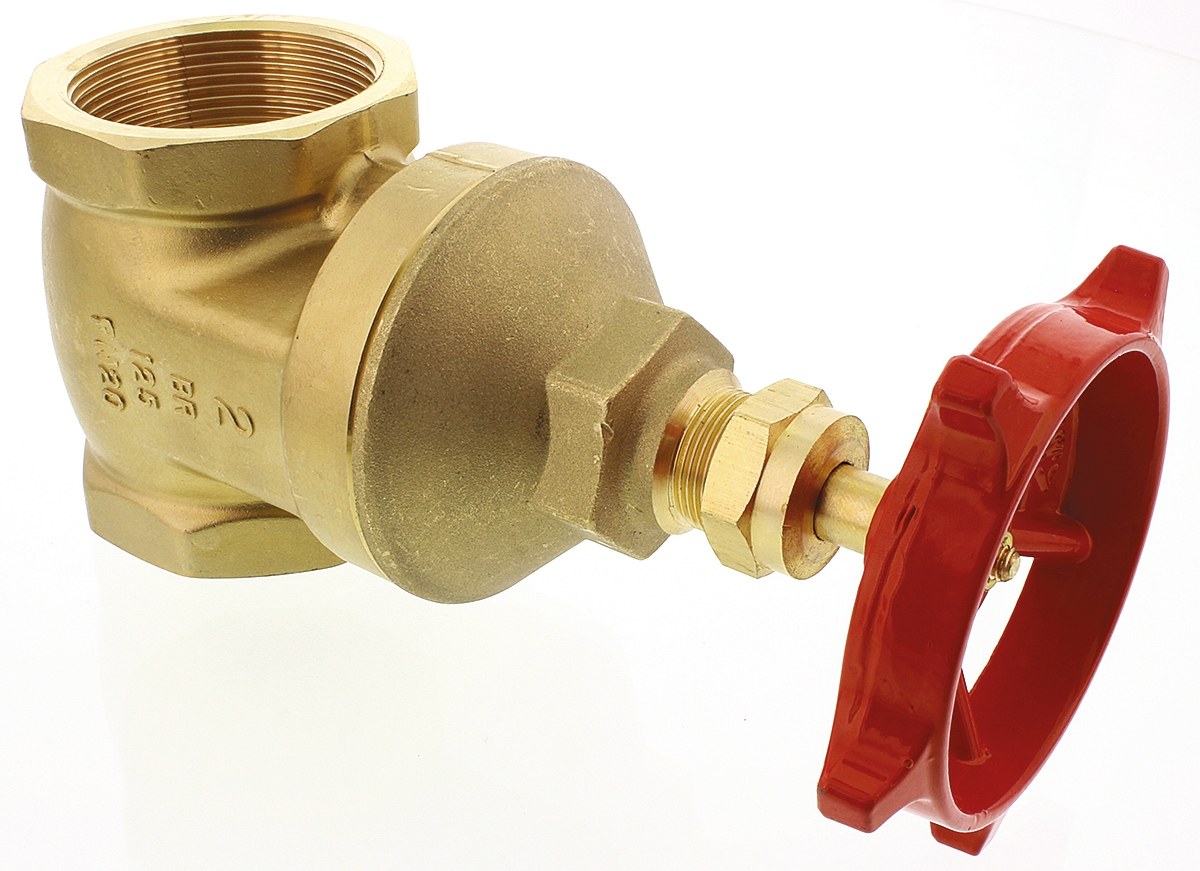 261-0356 RS PRO Gate Valve 2 in, 2 in