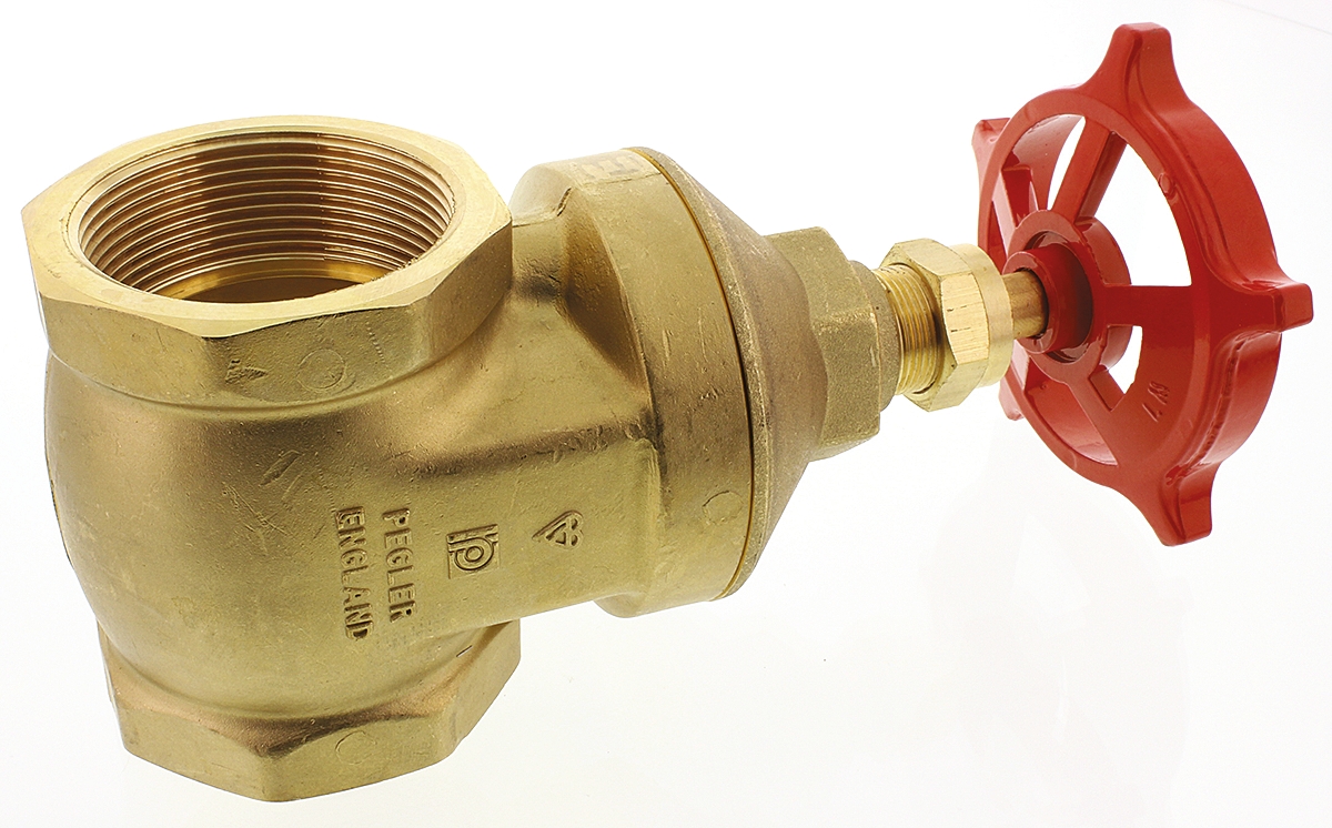 261-0356 RS PRO Gate Valve 2 in, 2 in