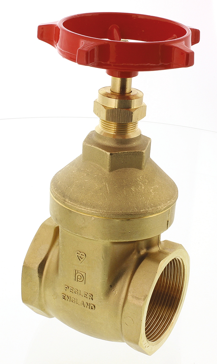 261-0356 RS PRO Gate Valve 2 in, 2 in
