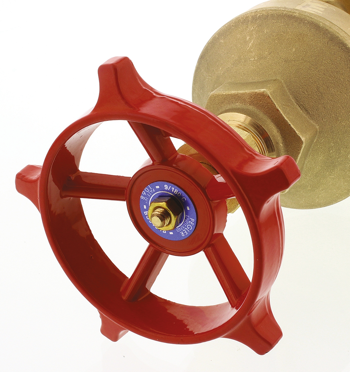 261-0356 RS PRO Gate Valve 2 in, 2 in