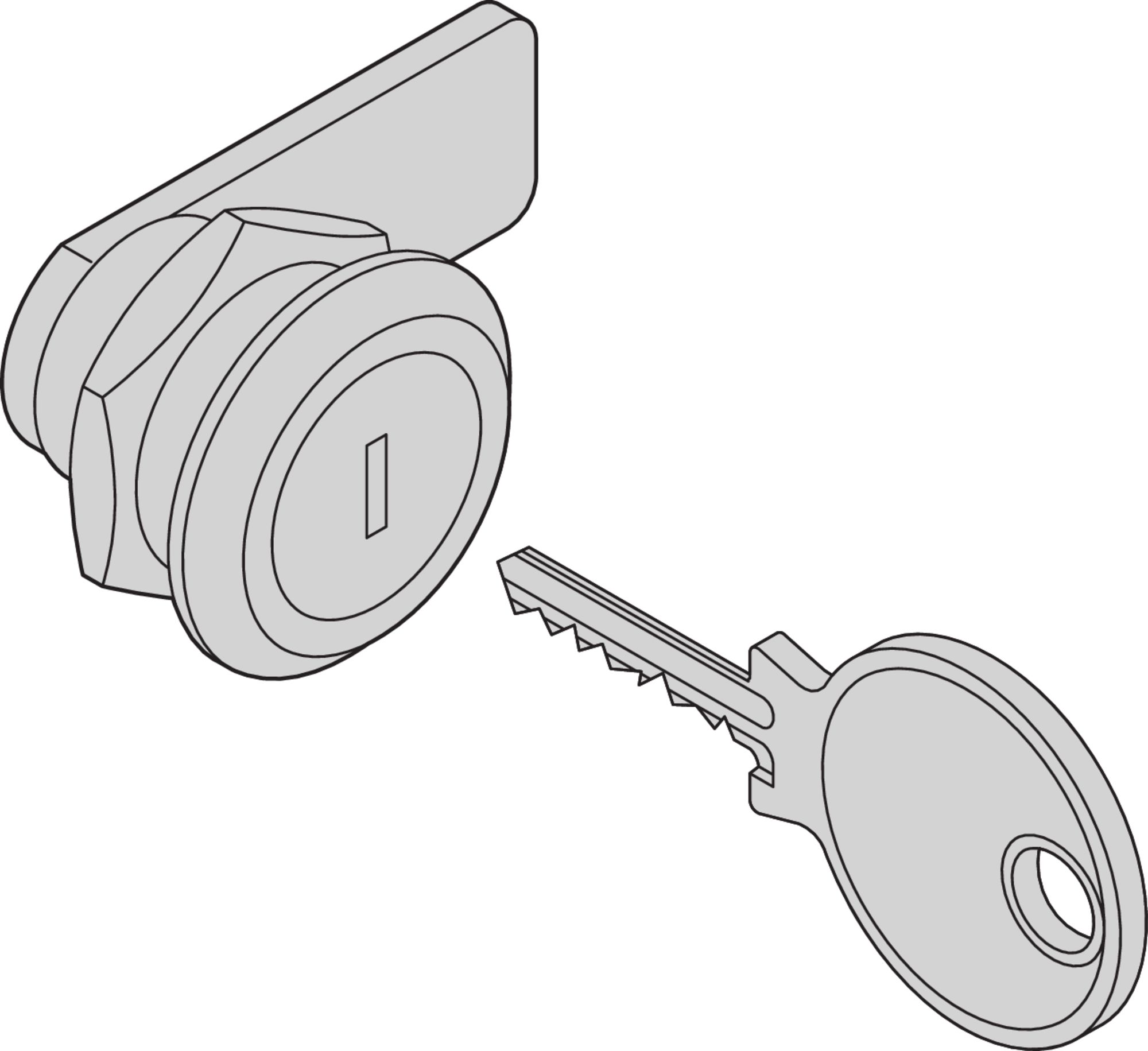 nVent SCHROFF 27230 Series Enclosure Lock For Use With Sideandrear Enclosure Panels
