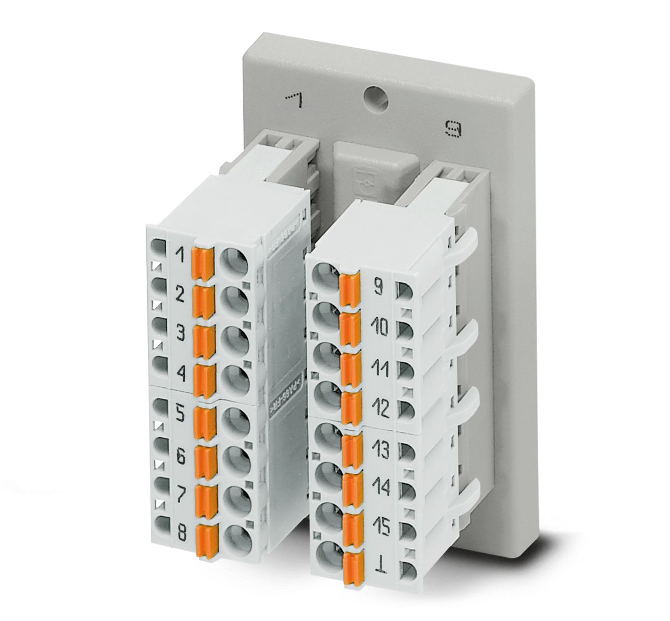 Phoenix Contact Interface Module, Rear