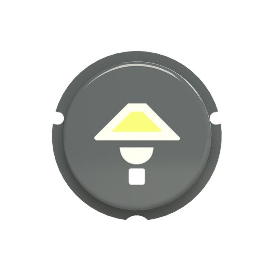 ABBPush Button Switch for Use with F@H Light, Pre-printed "Light Symbol