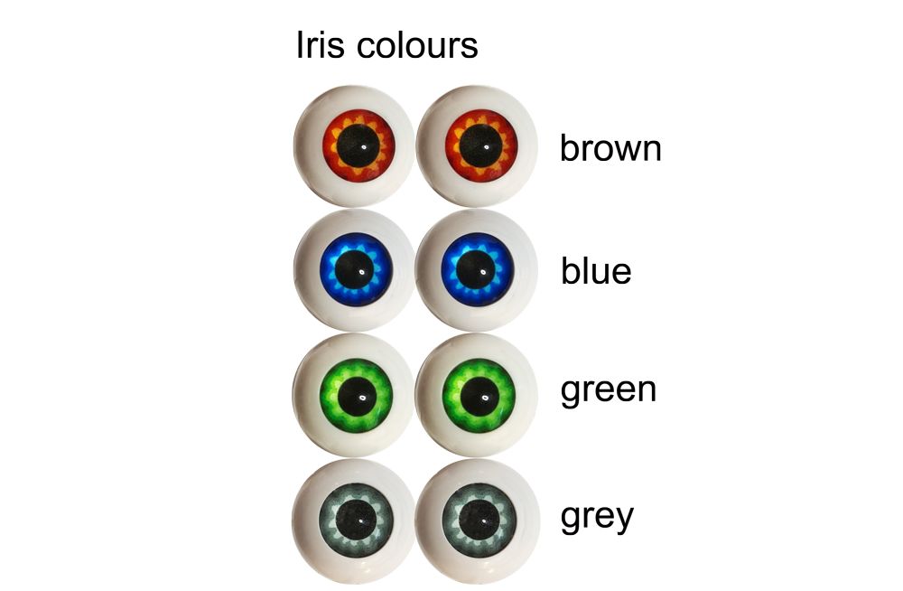 310 Ohbot  LED