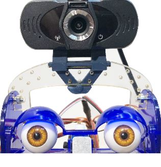 Ohbot 311 Vision Sensor