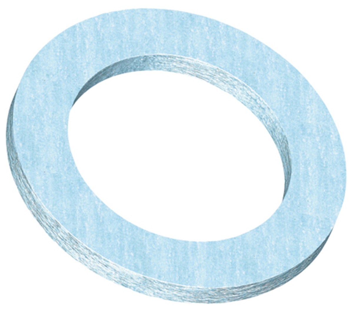 Watts Washer & Seal Kit