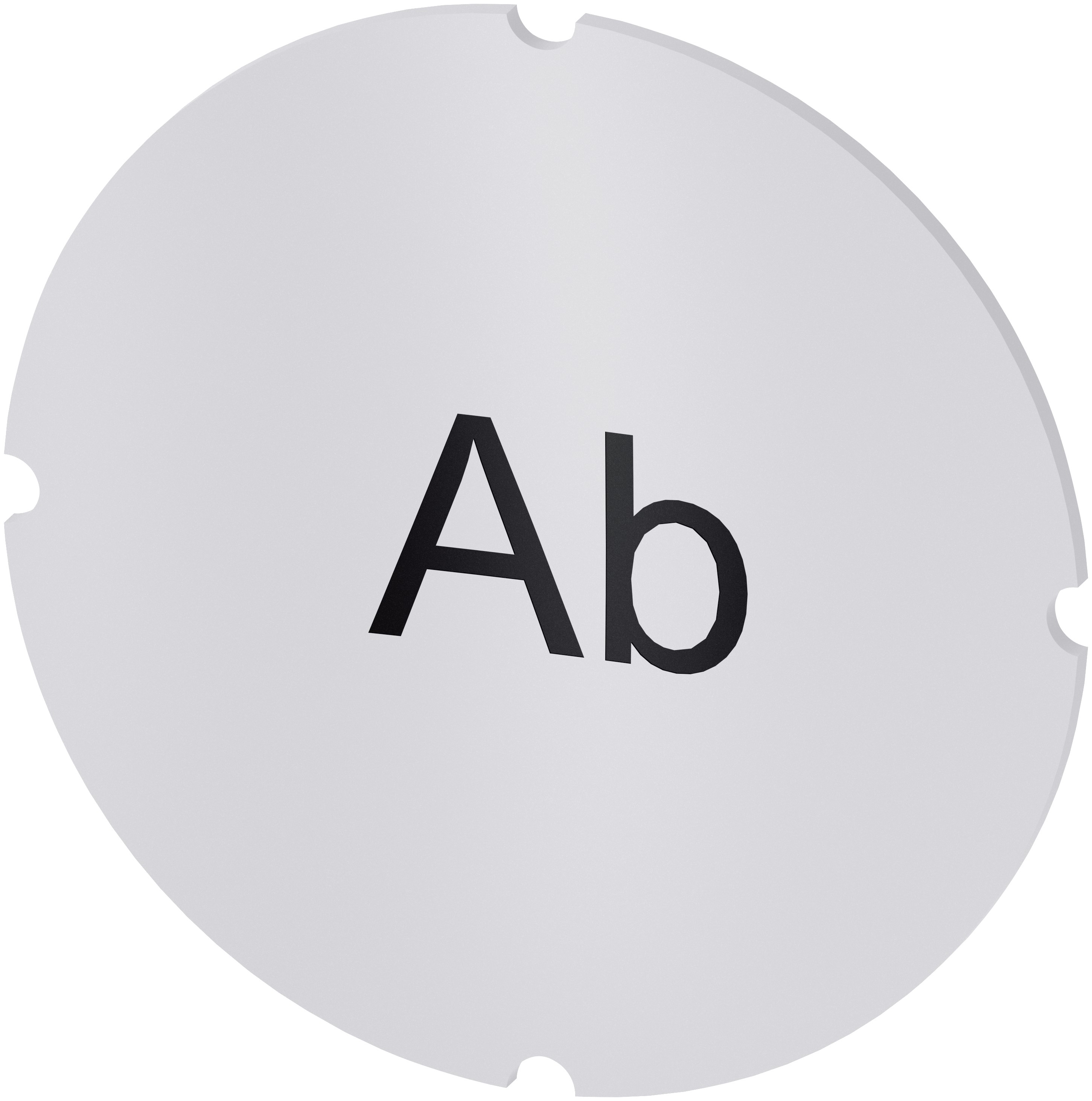 Siemens Insert Label