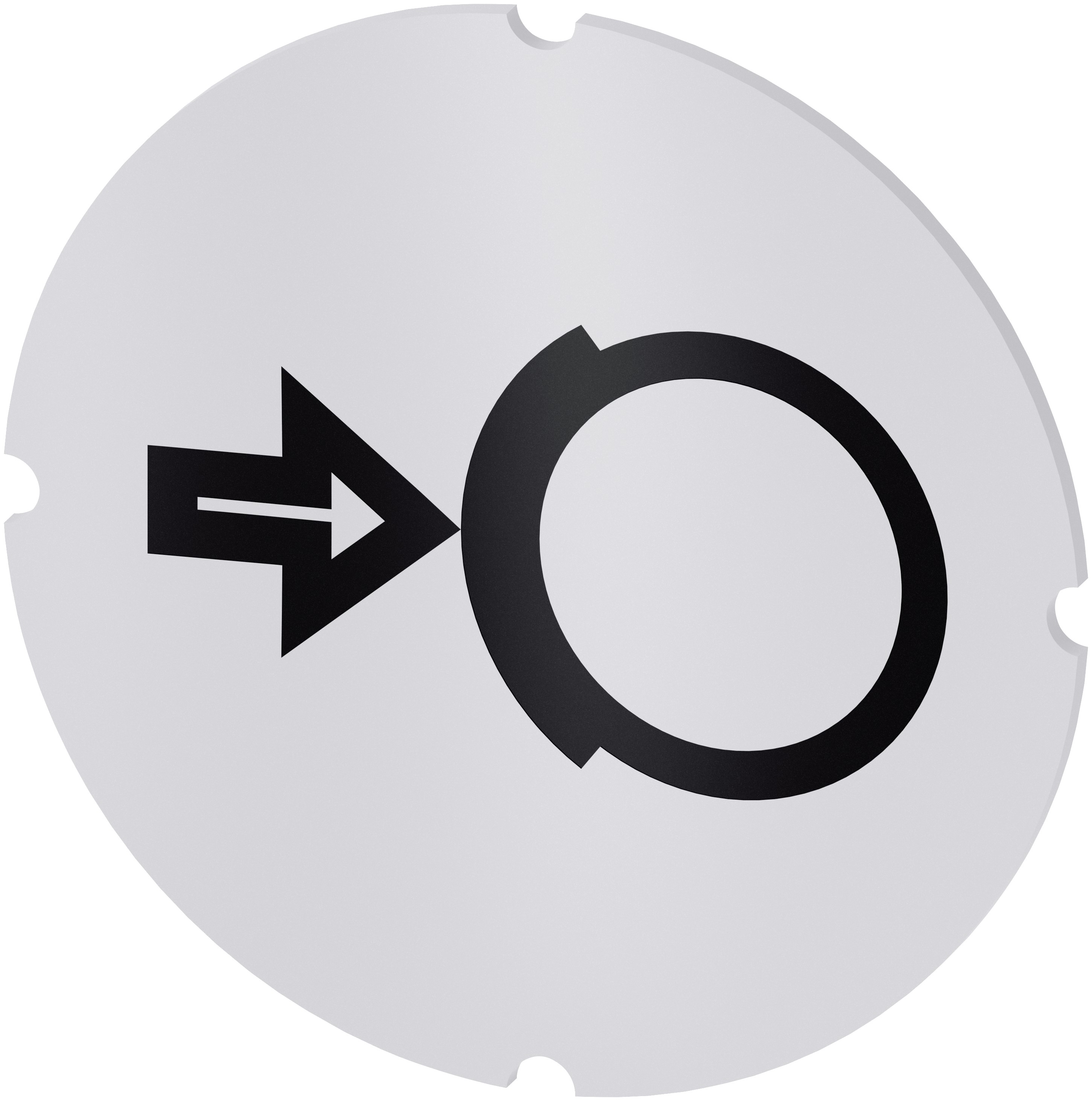 Siemens Insert Label