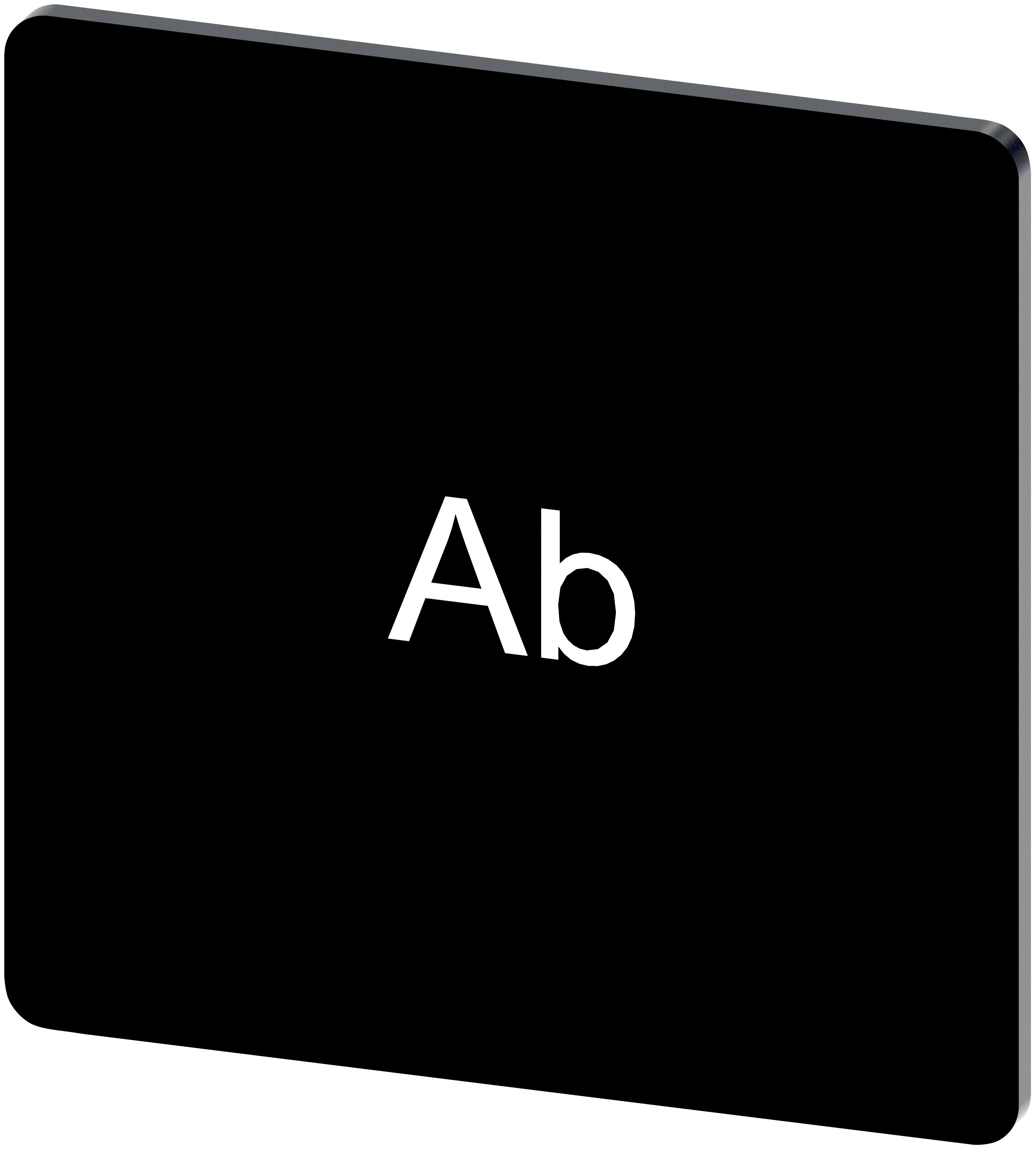 Siemens Labelling Plate