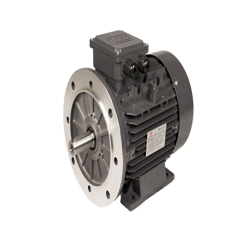 TEC Motors T3A Counter Clockwise AC Motor, 4 kW, IE3, 4-Pole, 400V, 480 V, 690 V, 828 V, Flange, Foot Mounting