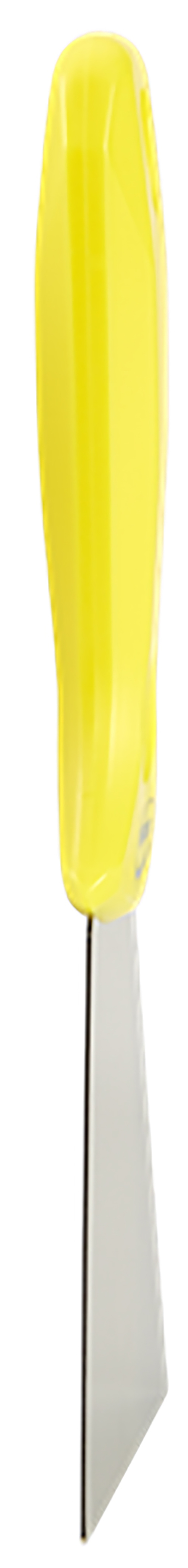 40096 Vikan Stainless Steel Plastic Hand Scraper, 1 piece