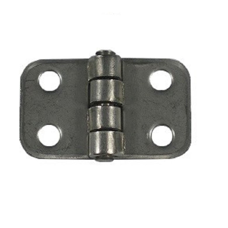 Savigny Zinc Plated Steel Free Swing, Screw Fixing, 20 mm x 34mm