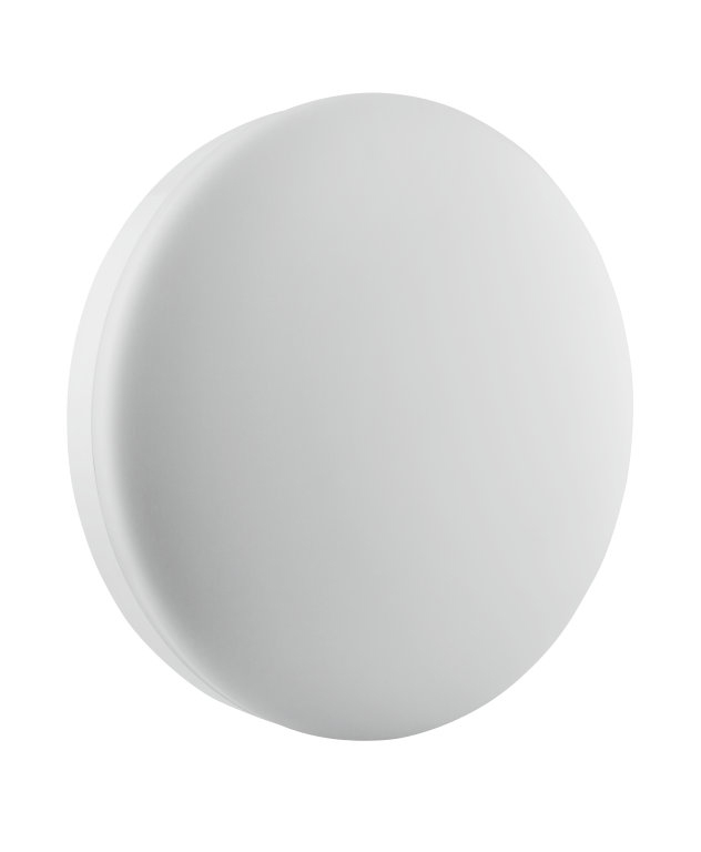 LEDVANCE LED Bulkhead Light, 24 W, 240V ac, IP65