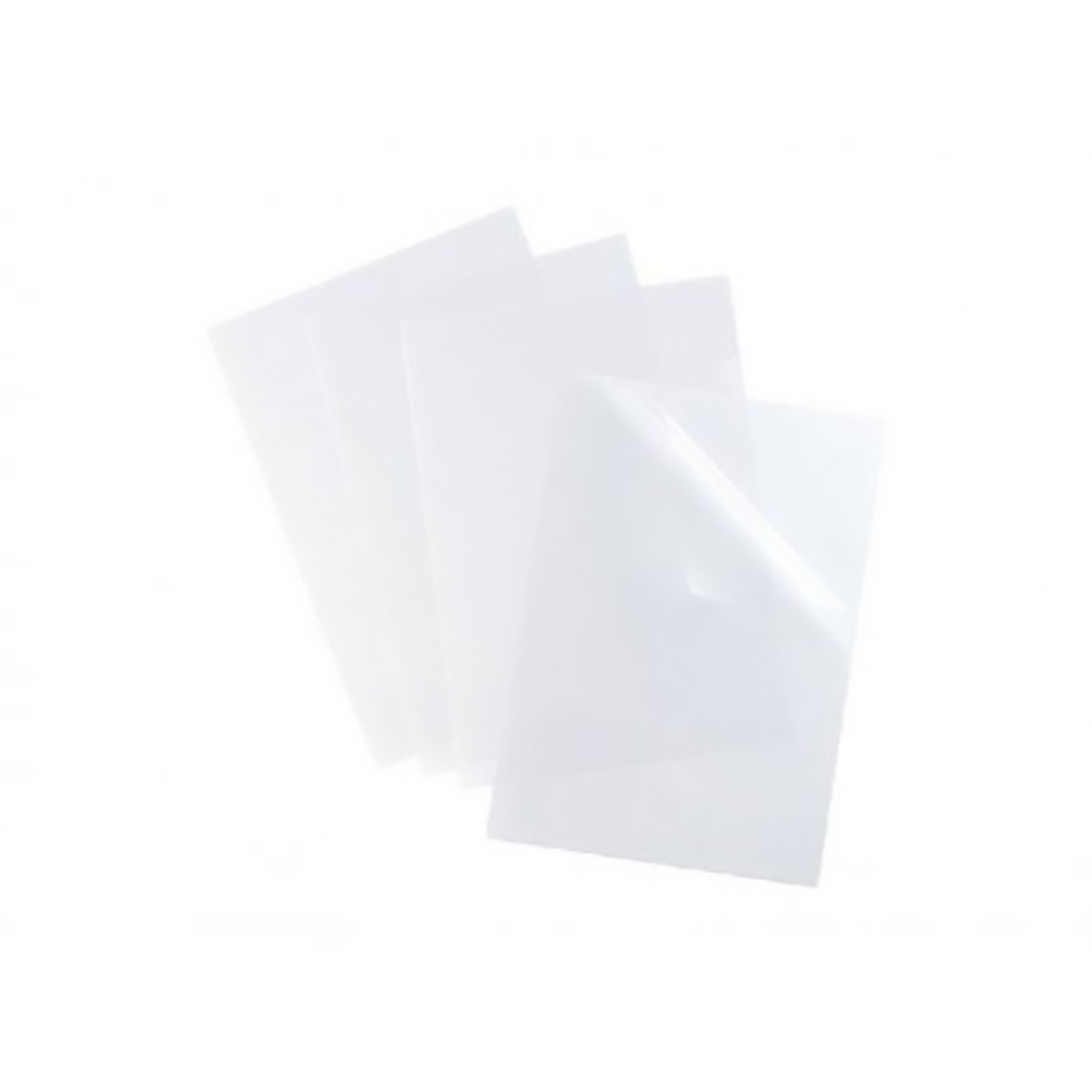 Esselte Transparent Polyvinyl Chloride Transparent Folder