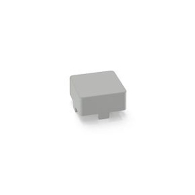 RAFI Push Button Switch for Use with Key Cap Body
