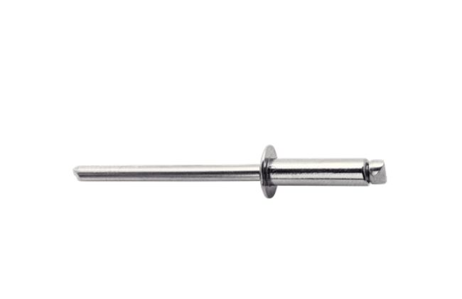 Rapid Agrafage Stainless Steel Aluminium Rivet Set Rivet, 50 pieces