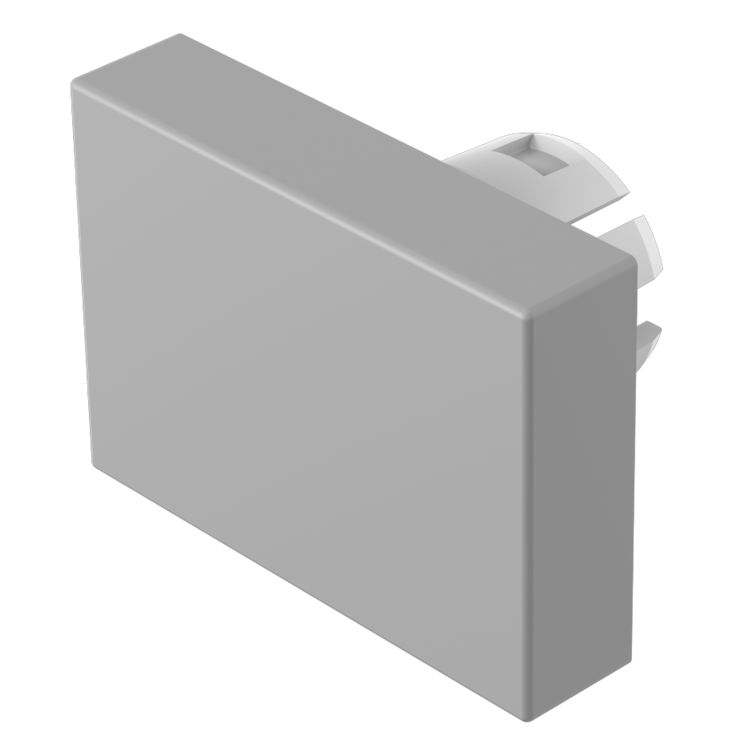 EAO Indicator Lens Rectangular Style, Grey, 21.5 mm Long
