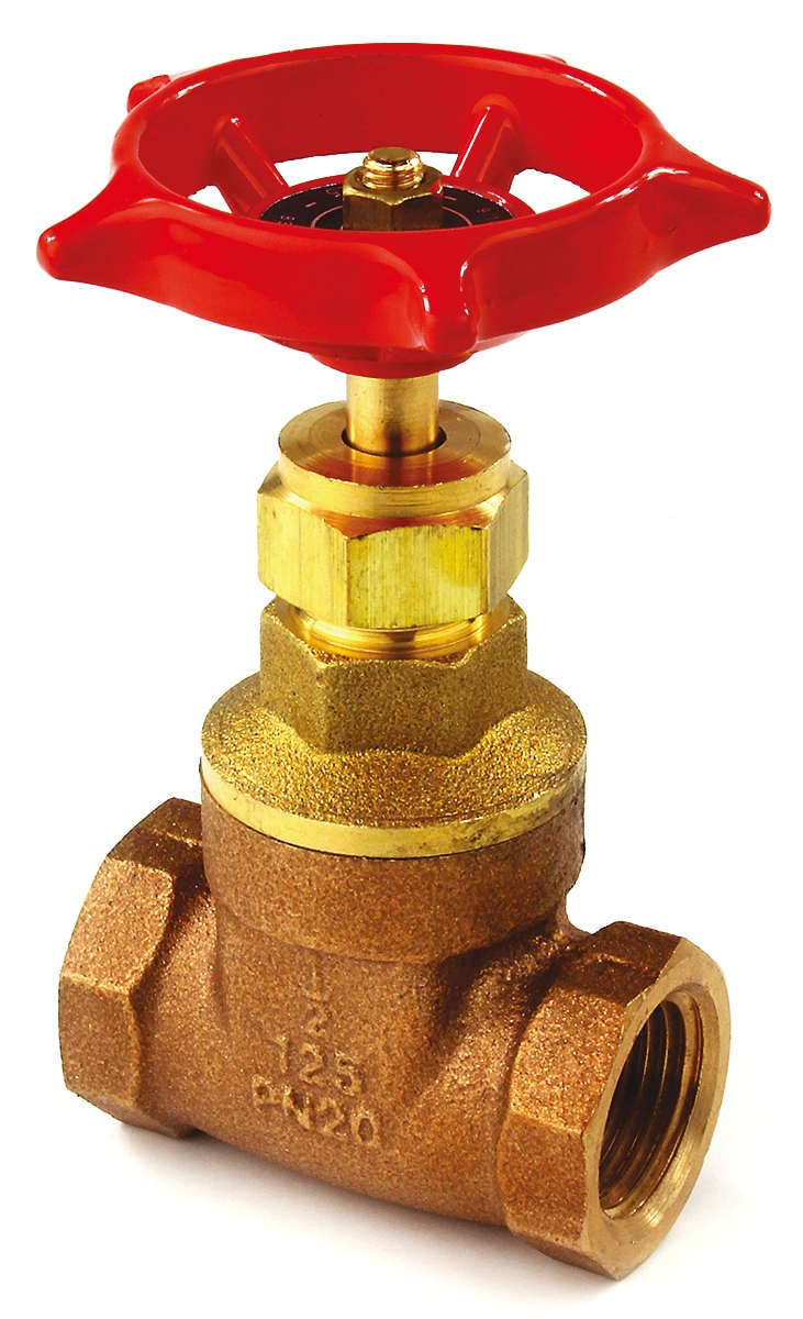 RS PRO Gate Valve 3 in, 1/2 in