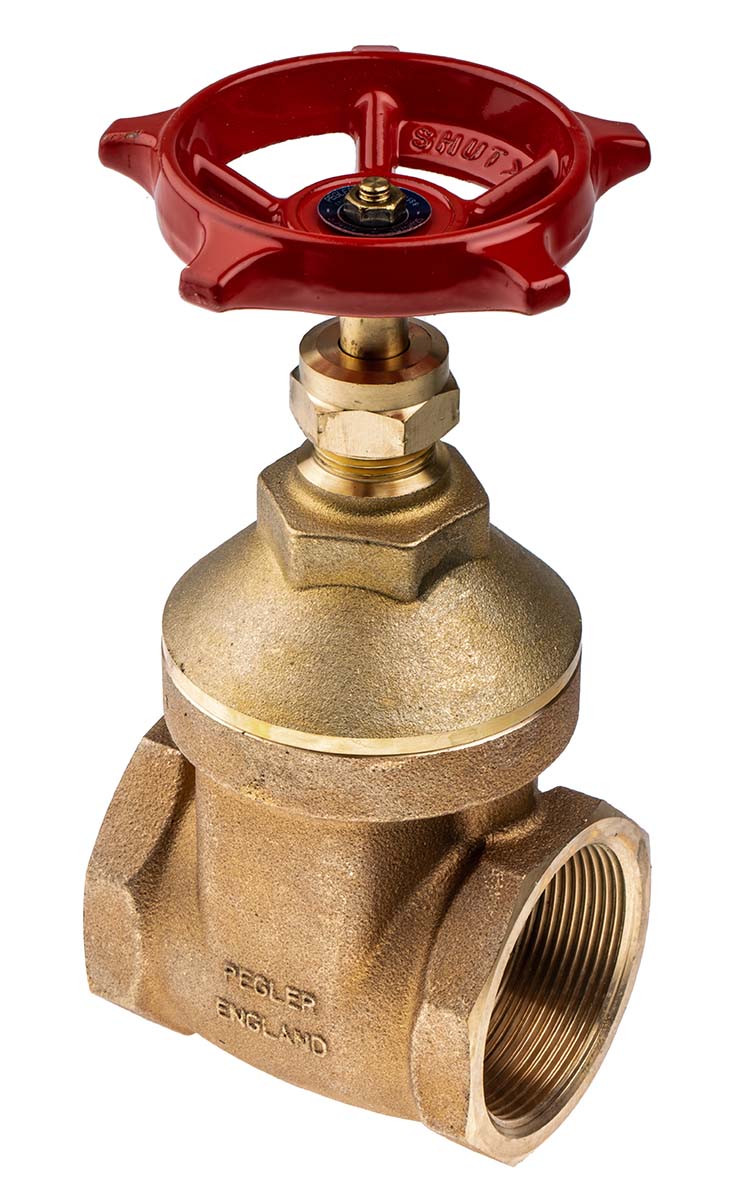 RS PRO Gate Valve 2 in, 2 in