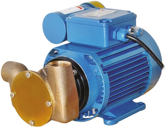 Xylem Jabsco Centrifugal Electric Positive Displacement Pump, 18L/min, 1.7 bar, 230V