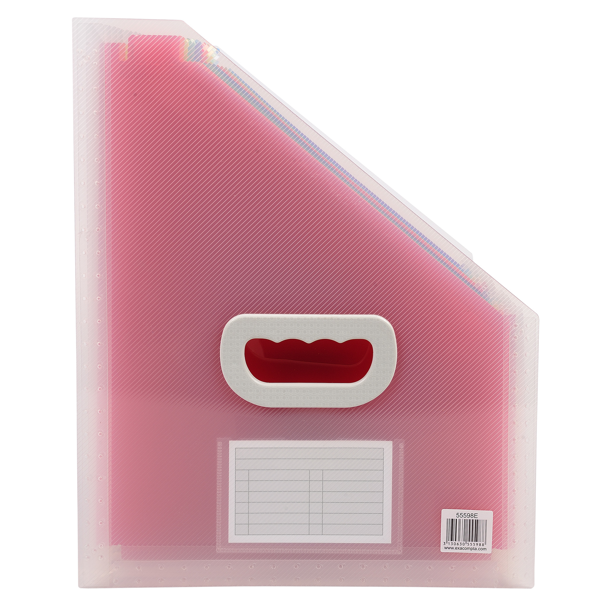 Exacompta Multicolour File 12 H5 mm  x W240mm  x D5 mm