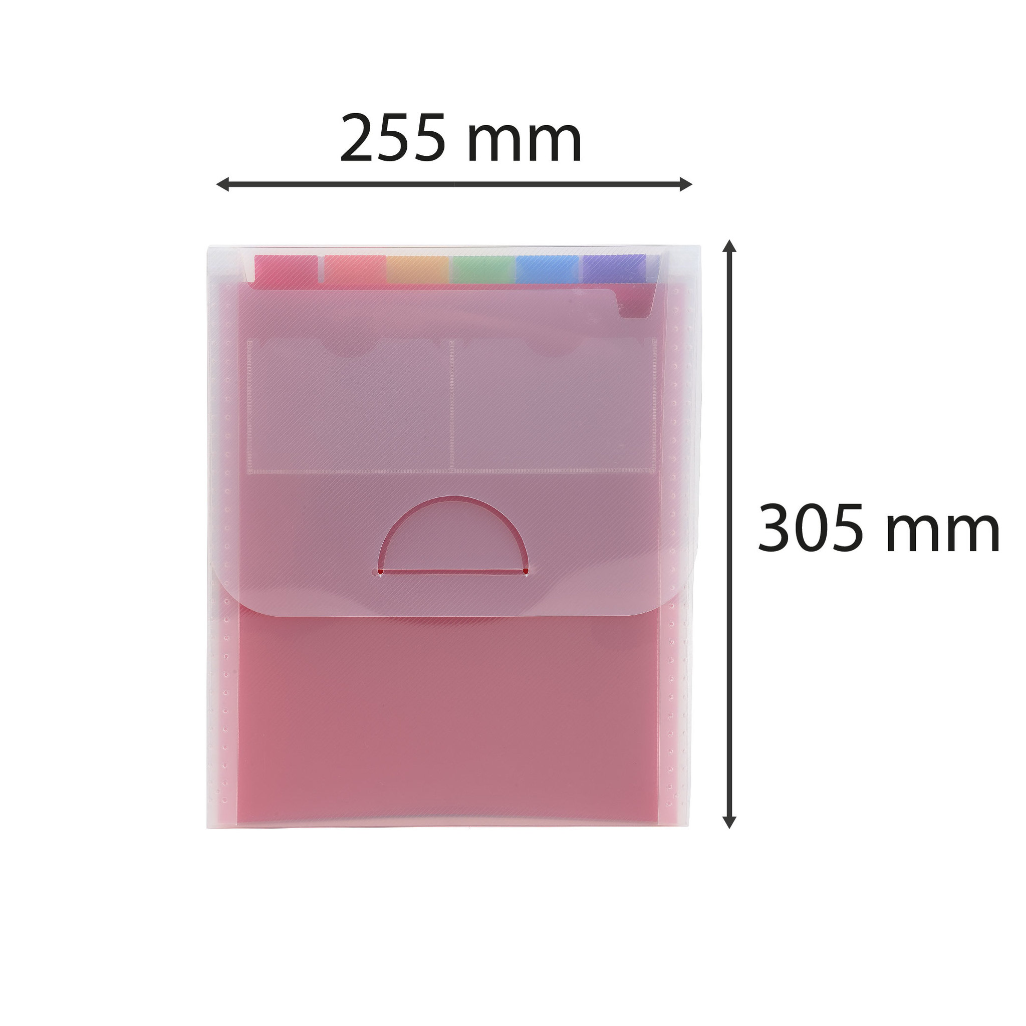 55798e Exacompta Multicolour File 6 H40 mm  x W255mm  x D40 mm