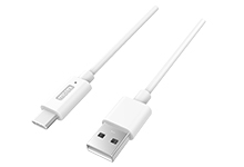 Molex USB 2.0, Male USB C to Male USB A, 1m