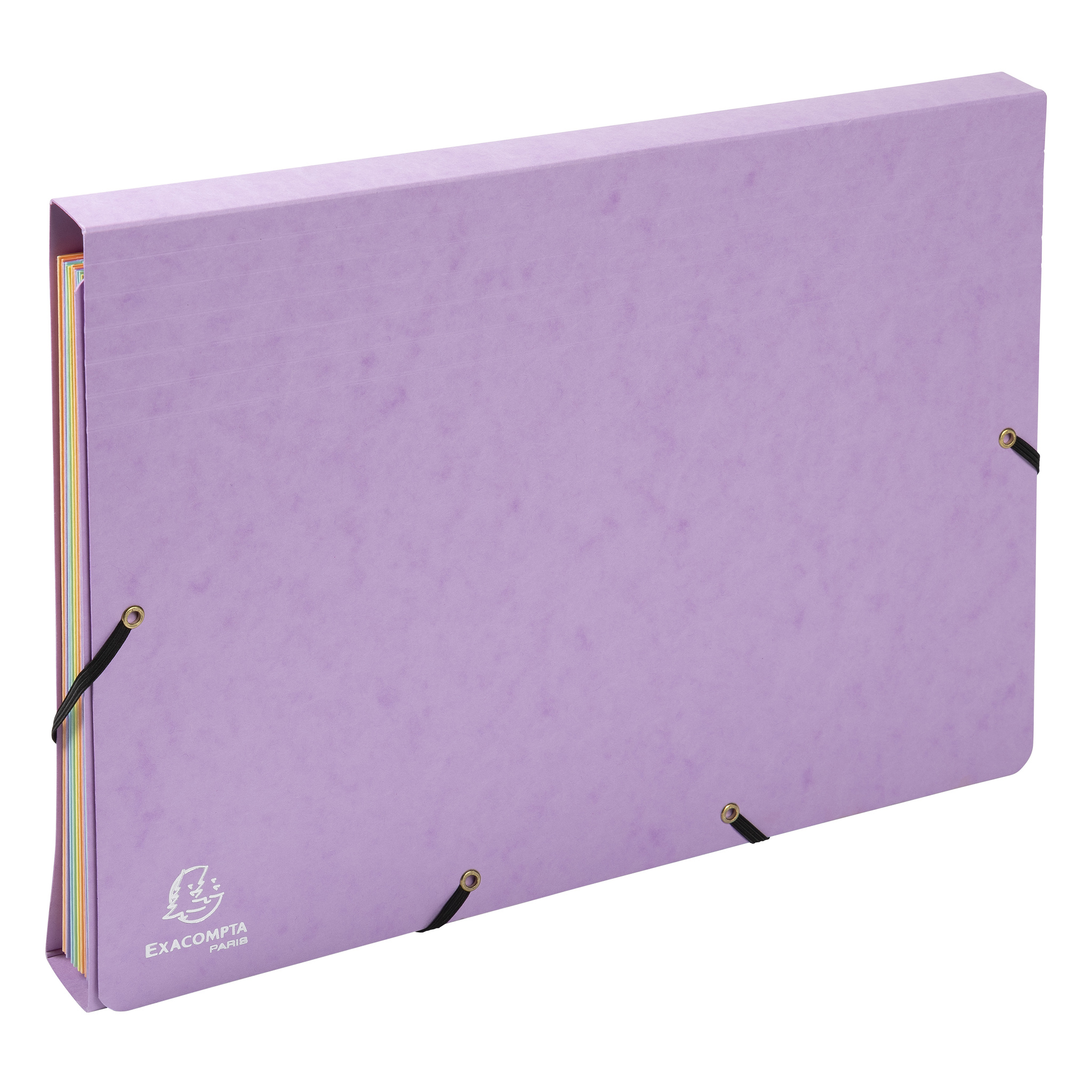 Exacompta Assorted Mottled Pressboard Folder