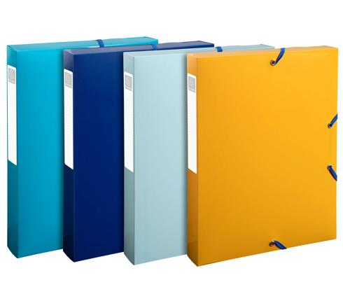Exacompta Assorted A4 File Box H330 mm  x W250mm  x D40 mm