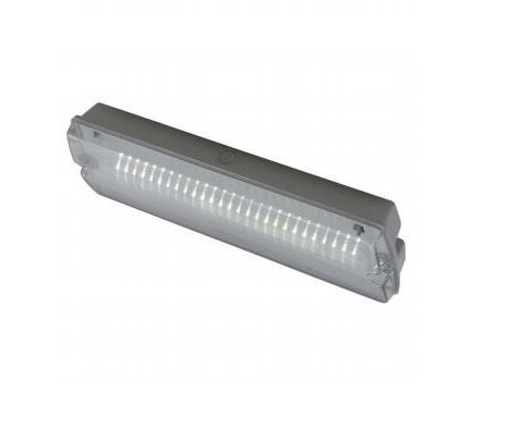 Ansell Lighting LED Emergency Lighting, 3 W