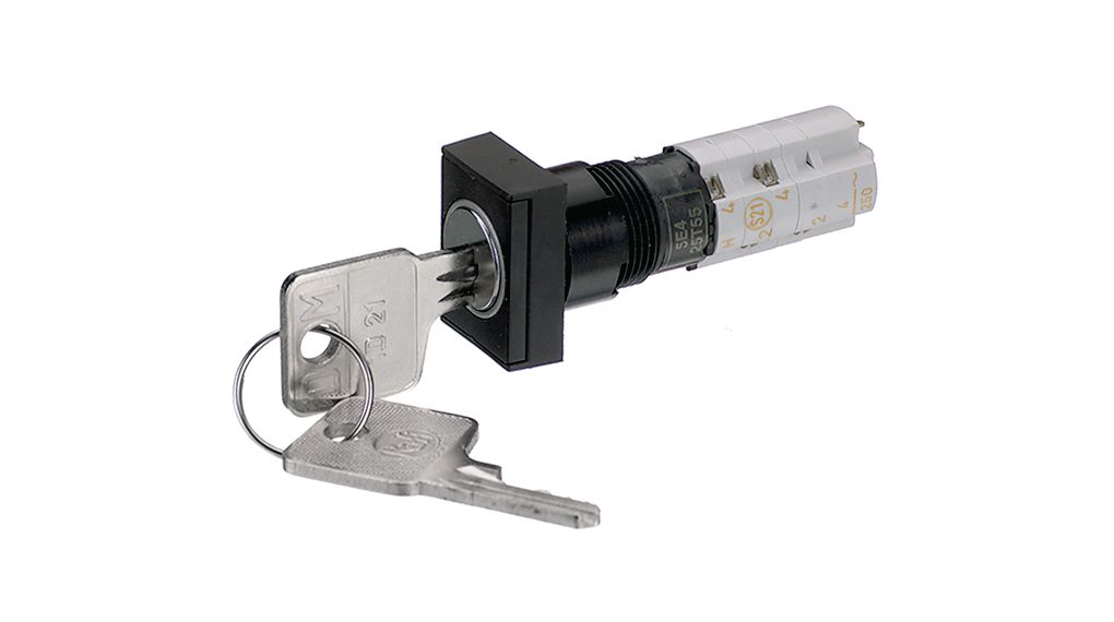 RAFI IP40 Key Switch, 1 NO + 1 NC, 4A