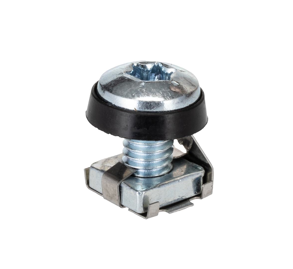 7000990 Rittal M6 x 10mm Cage Nut