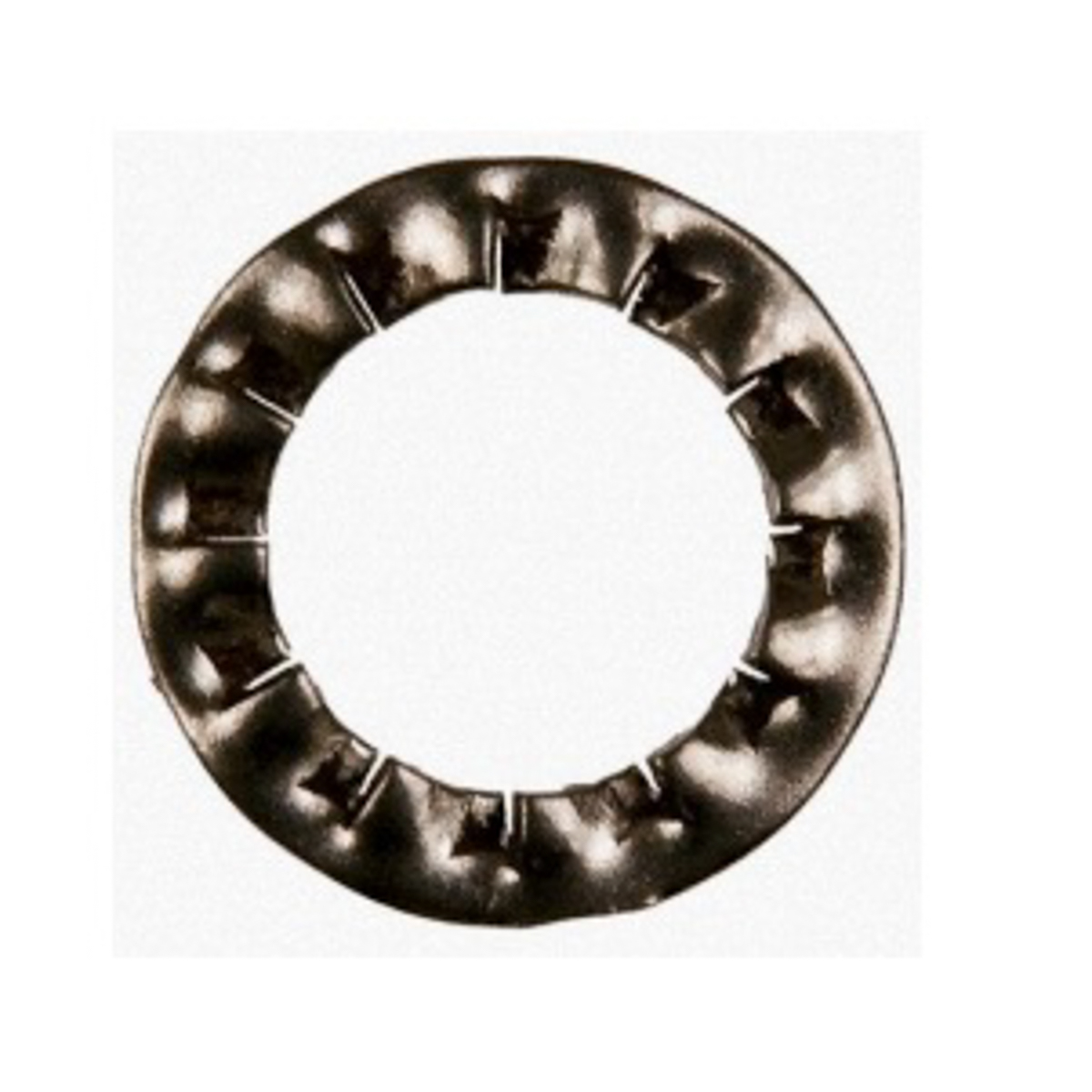 RS PRO Stainless Steel Plain Internal Tooth Shakeproof Washer, M5, DIN 6798J