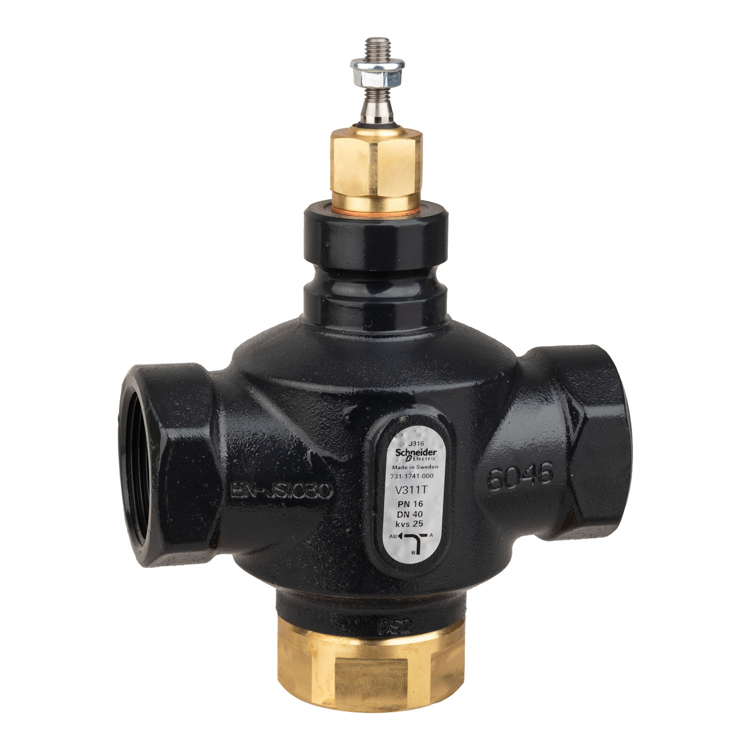 Schneider Electric Cast Iron Globe Valve 7311741000, Rp Internal 399.9 kPa
