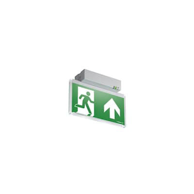 EMERGI-LITE LED Emergency Lighting, Surface, 2 W