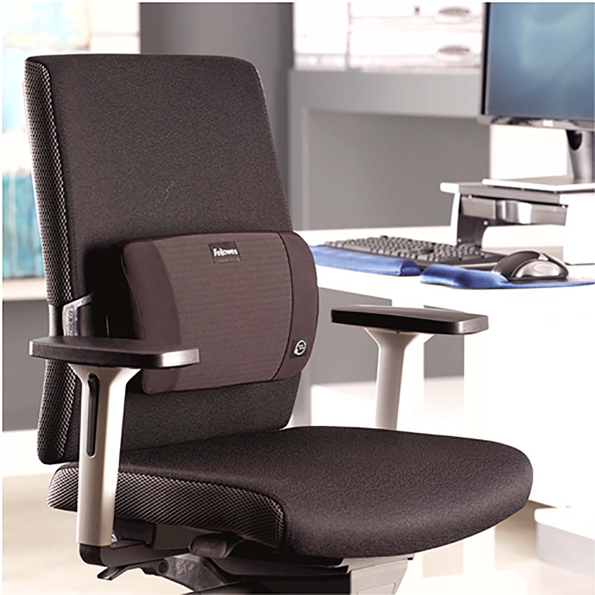 8026501 Fellowes Black Foam Back Support