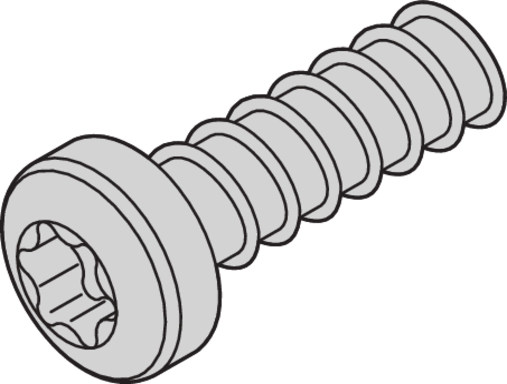 nVent SCHROFF Guide Rail Screw for Use with Front Panels