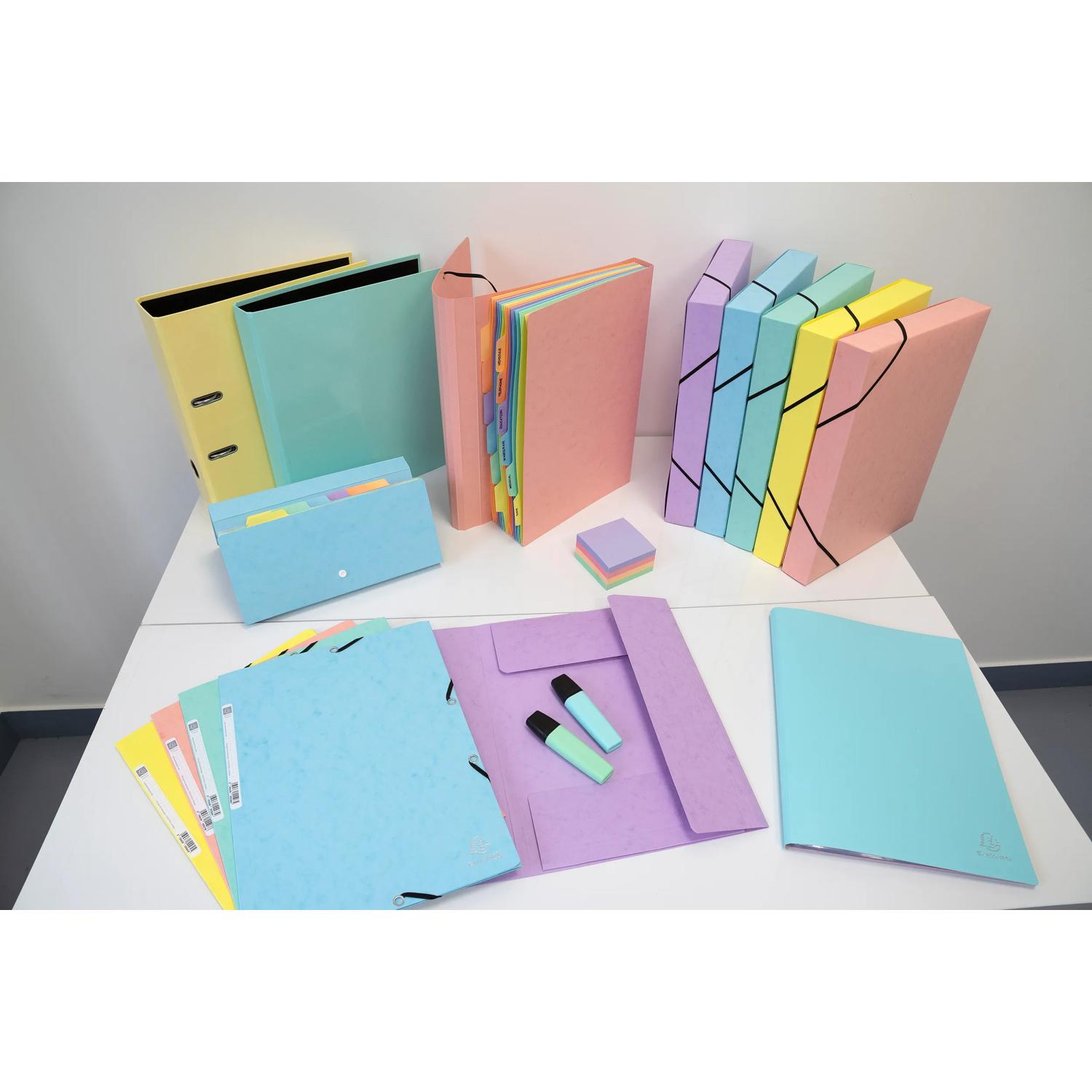 88660e Exacompta Assorted 60