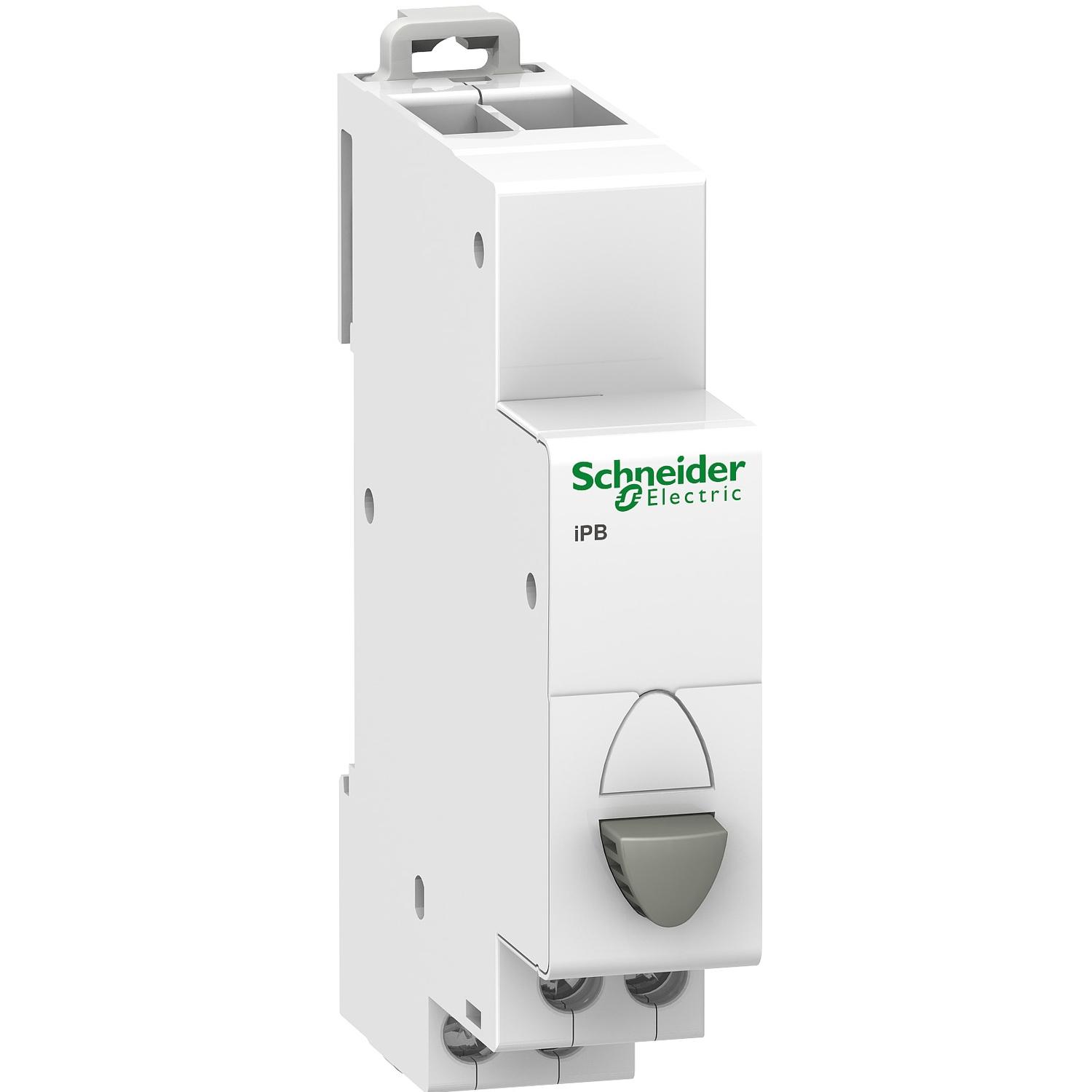 a9e18033 Schneider Electric 250V ac DIN Rail Push Button Circuit Trip