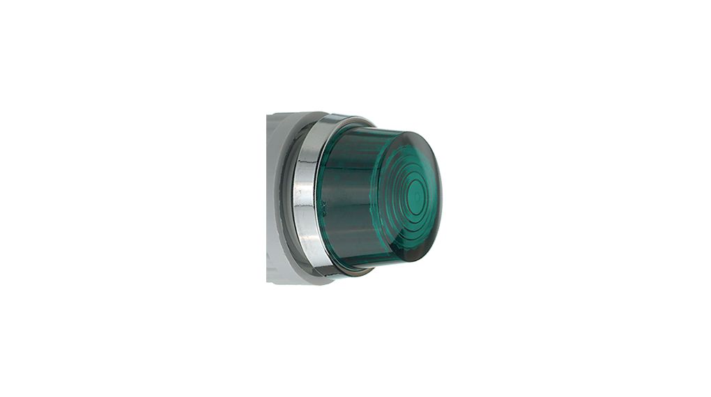 RAFI Green Filament Indicator Lamp, 250V