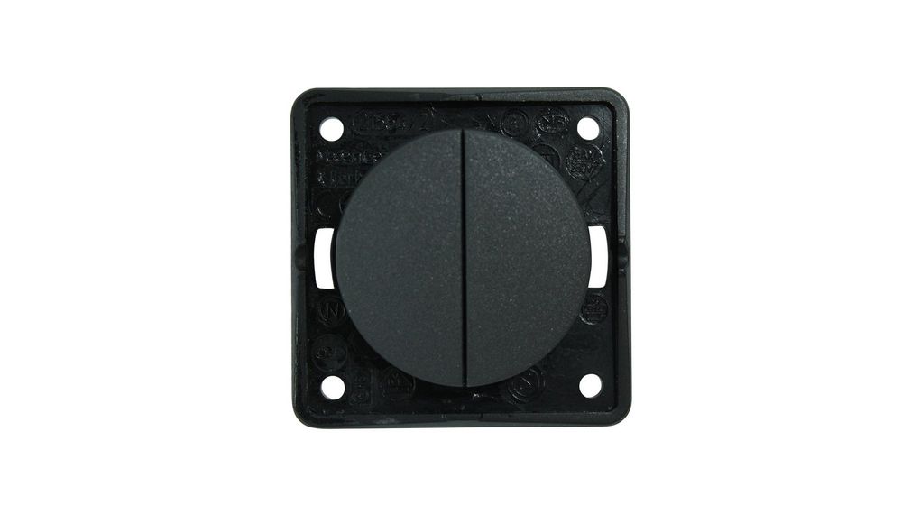 Berker Anthracite Rocker, 2 Gang, Integro