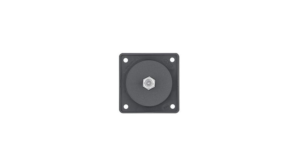 Berker Socket Anthracite Female 1 Outlet TV Aerial Connector, Flush