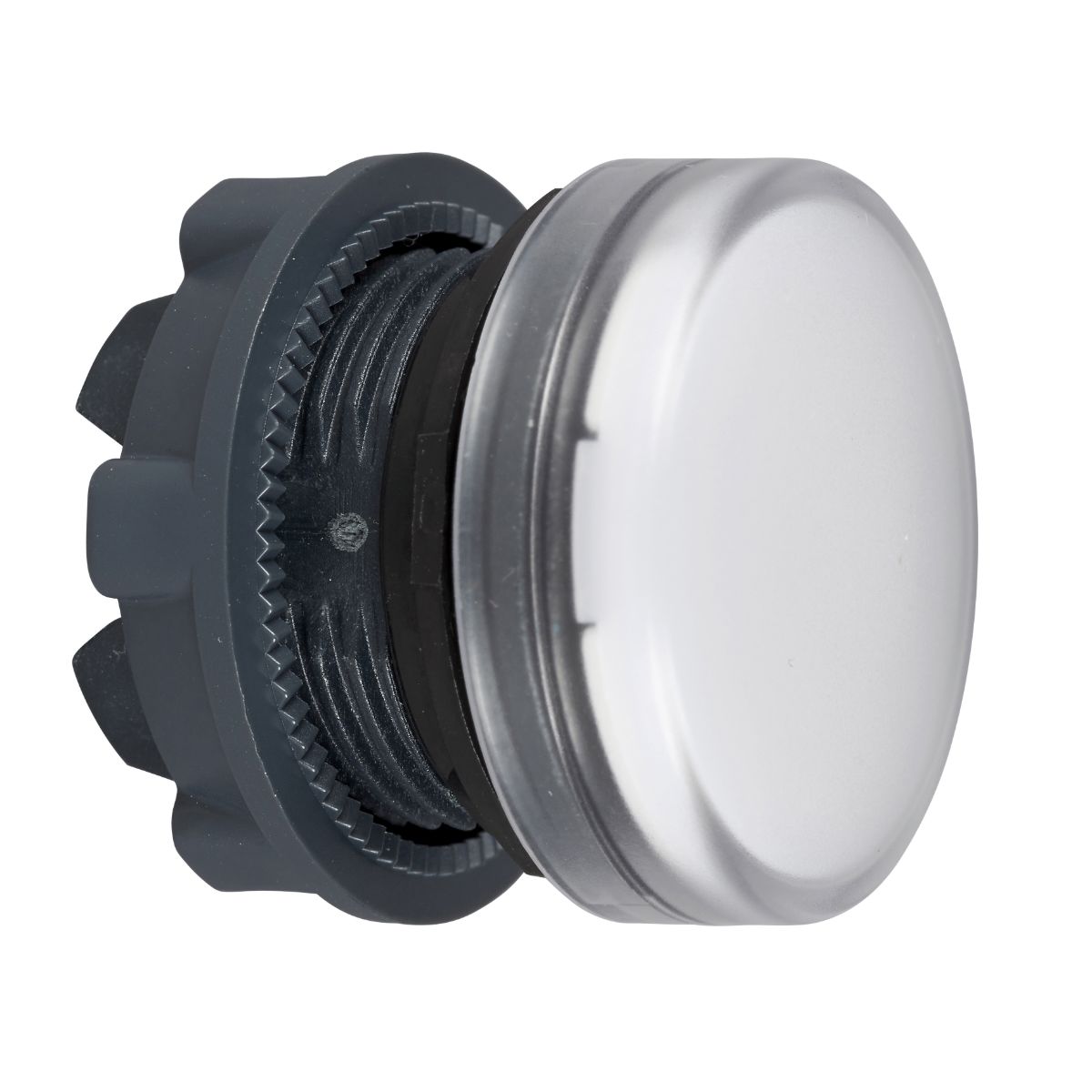 Schneider Electric Harmony XB5 Series, White Pilot Light Head, 22mm Cutout