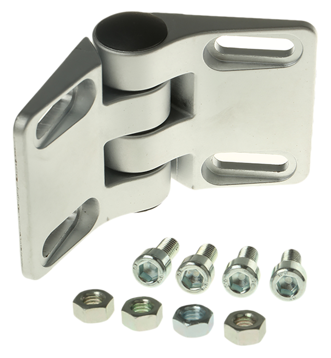 Schmersal Hinge