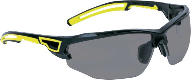 Delta Plus ASO2 Safety Glasses, Anti-Scratch Coating, Smoked Polycarbonate Lens
