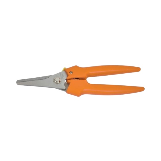 Avit Snips